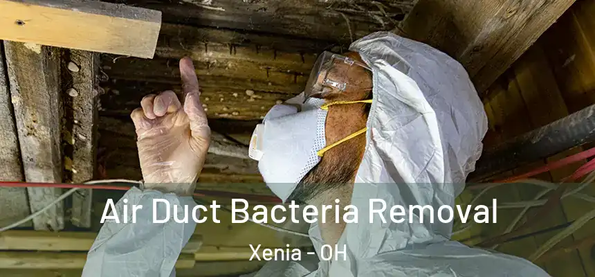  Air Duct Bacteria Removal Xenia - OH
