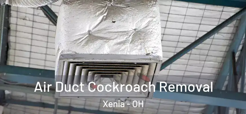 Air Duct Cockroach Removal Xenia - OH