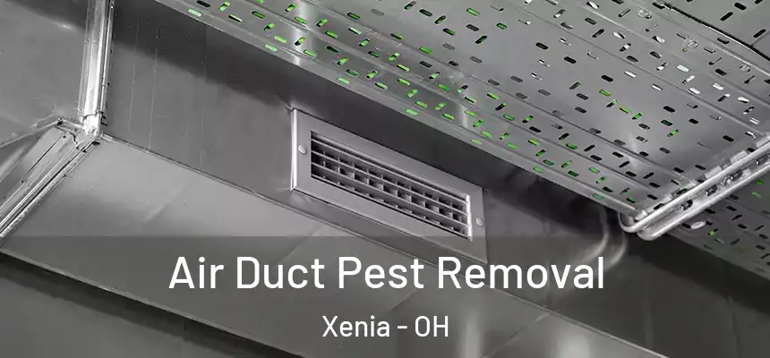 Air Duct Pest Removal Xenia - OH