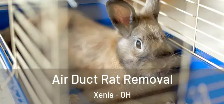  Air Duct Rat Removal Xenia - OH