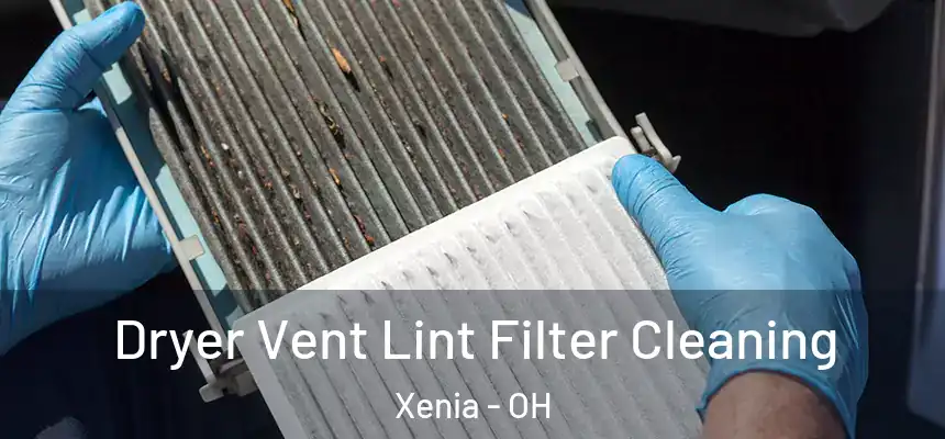 Dryer Vent Lint Filter Cleaning Xenia - OH