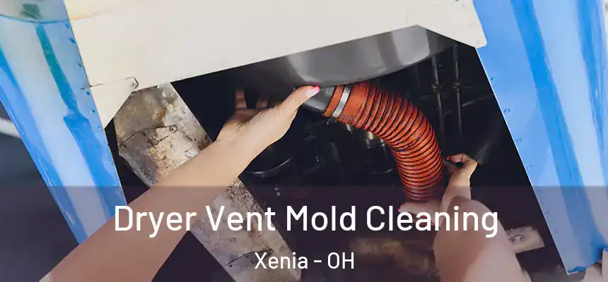Dryer Vent Mold Cleaning Xenia - OH