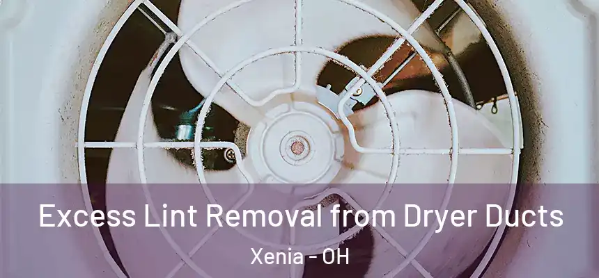 Excess Lint Removal from Dryer Ducts Xenia - OH