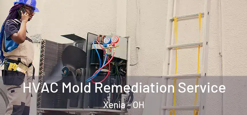 HVAC Mold Remediation Service Xenia - OH