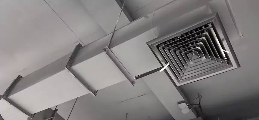 Our Pest Removal From Ducts Services in Xenia, OH