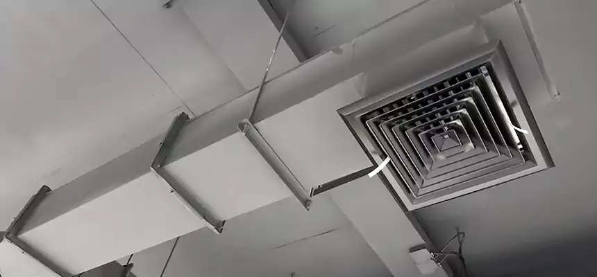 Our Rodent Droppings In Vents Services in Xenia, OH