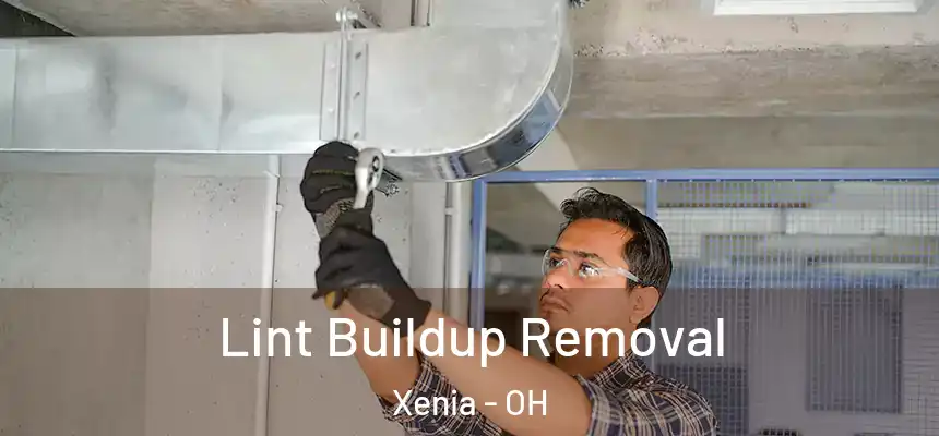 Lint Buildup Removal Xenia - OH