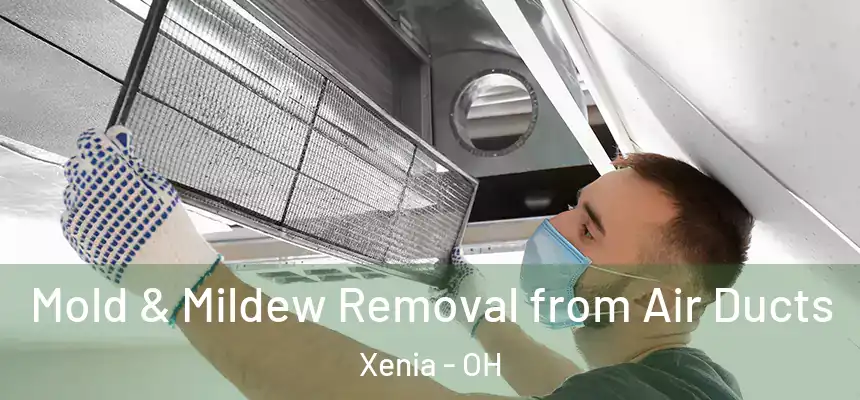 Mold & Mildew Removal from Air Ducts Xenia - OH