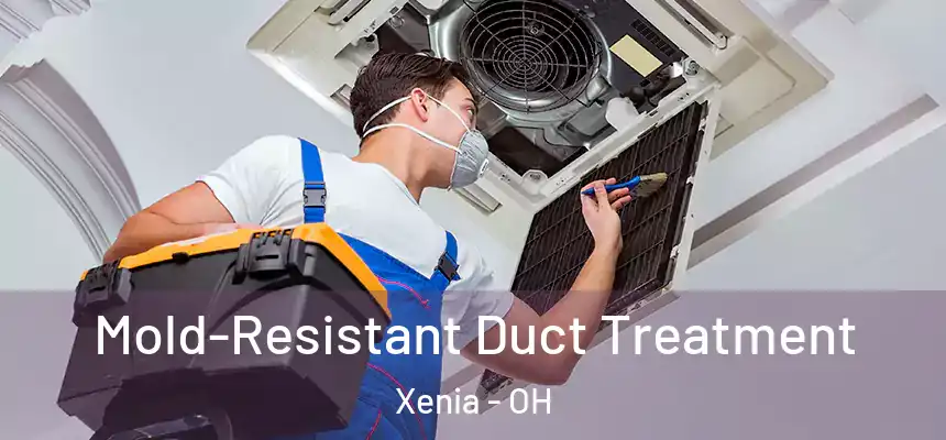  Mold-Resistant Duct Treatment Xenia - OH