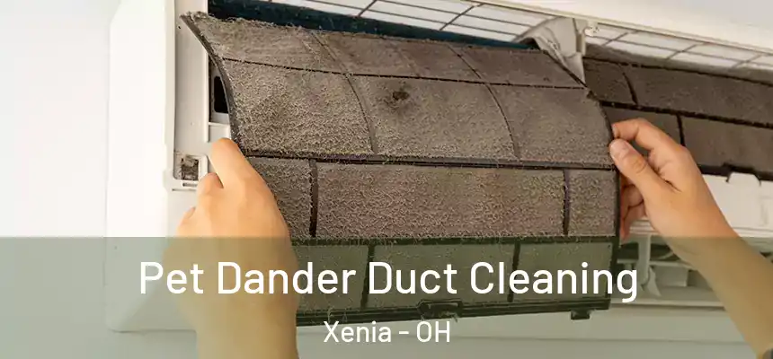 Pet Dander Duct Cleaning Xenia - OH
