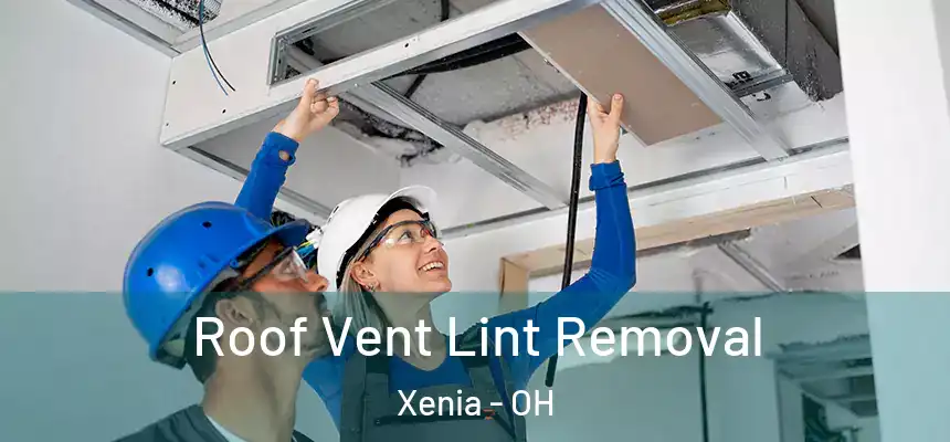 Roof Vent Lint Removal Xenia - OH