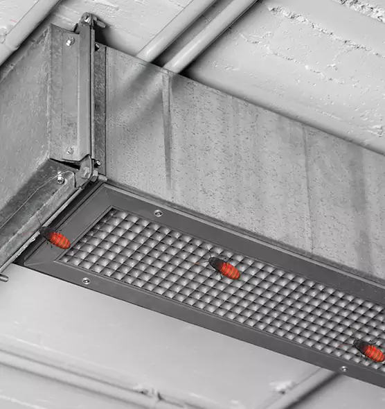 Affordable Insect Removal from Air Ducts in Xenia, OH
