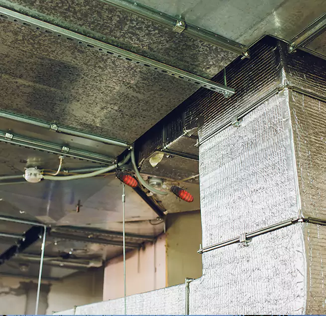 Why Homeowners & Businesses Trust Us Xenia, OH?