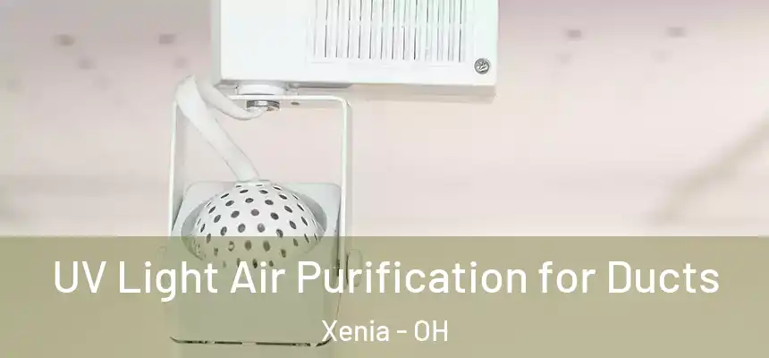 UV Light Air Purification for Ducts Xenia - OH